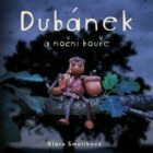 Dubánek a noční bouře (CD)