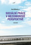 Sociální práce v mezioborové perspektivě (e-kniha)
