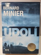 Údolí