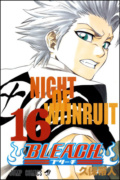 Bleach 16