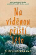 Na viděnou příští léto (e-kniha)
