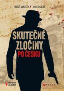 Skutečné zločiny po česku (e-kniha)
