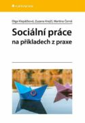 Sociální práce na příkladech z praxe (e-kniha)