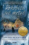 Stín větru (e-kniha)