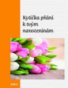 Kytička přání k Tvým narozeninám