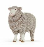 Ovce merino