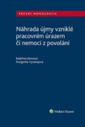 Náhrada újmy vzniklé pracovním úrazem či nemocí z povolání (e-kniha)