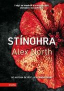 Stínohra (e-kniha)