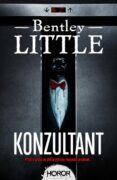 Konzultant (e-kniha)