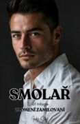 Smolař (e-kniha)