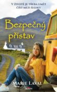 Bezpečný přístav (e-kniha)