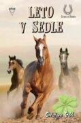 Leto v sedle (e-kniha)