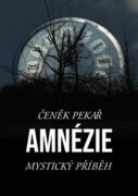 Amnézie (e-kniha)