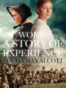 Work: A Story of Experience (e-kniha)