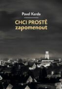 Chci prostě zapomenout (e-kniha)