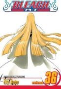 Bleach 36 (anglicky)