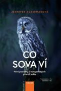 Co sova ví (e-kniha)