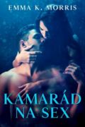 Kamarád na sex (e-kniha)