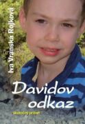 Davidov odkaz (e-kniha)