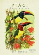 Ptáci - barvy pralesa