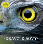 Dravci a sovy