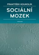 Sociální mozek (e-kniha)