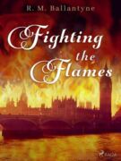 Fighting the Flames (e-kniha)