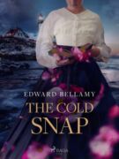 The Cold Snap (e-kniha)