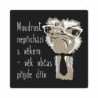 Pánské tričko - Moudrost nepřichází s věkem, vel. M