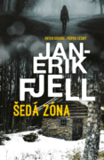 Šedá zóna (e-kniha)