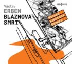 Bláznova smrt (e-kniha)