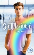Setkání (e-kniha)