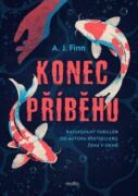 Konec příběhu (e-kniha)