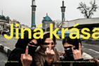Jiná krása (e-kniha)