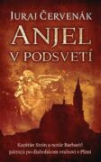 Anjel v podsvetí (e-kniha)