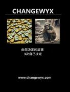 CHANGEWYX (e-kniha)