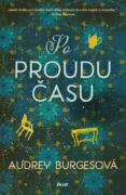 Po proudu času (e-kniha)
