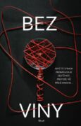 Bez viny (e-kniha)