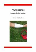 První pomoc pro pomáhající profese (e-kniha)
