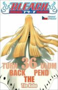 Bleach 36