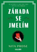Záhada se jmelím (e-kniha)