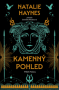 Kamenný pohled (e-kniha)