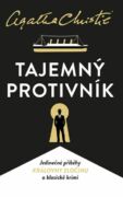 Tajemný protivník (e-kniha)