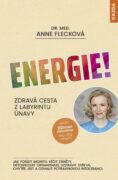 Energie! (e-kniha)