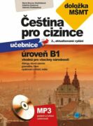 Čeština pro cizince B1 (e-kniha)