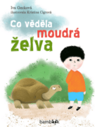 Co věděla moudrá želva (e-kniha)