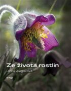 Ze života rostlin