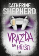 Vražda na hřišti (e-kniha)