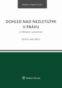 Dohled nad nezletilými v právu. 25 příkladů z judikatury (e-kniha)