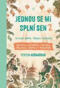 Jednou se mi splní sen 2 - Trochu deník, trochu cestopis Vietnam, Kambodža, Thajsko, Malajsie, Brune